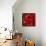 Roses - Red on Gold-Kate Bennett-Framed Stretched Canvas displayed on a wall