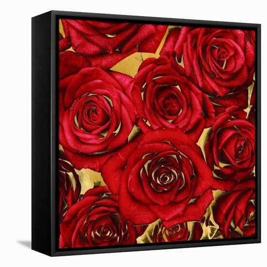 Roses - Red on Gold-Kate Bennett-Framed Stretched Canvas