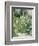 Roses Tremieres (Hollyhocks), 1884-Berthe Morisot-Framed Premium Giclee Print