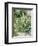 Roses Tremieres (Hollyhocks), 1884-Berthe Morisot-Framed Premium Giclee Print