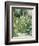 Roses Tremieres (Hollyhocks), 1884-Berthe Morisot-Framed Premium Giclee Print