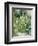 Roses Tremieres (Hollyhocks), 1884-Berthe Morisot-Framed Premium Giclee Print