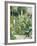 Roses Tremieres (Hollyhocks), 1884-Berthe Morisot-Framed Giclee Print