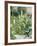 Roses Tremieres (Hollyhocks), 1884-Berthe Morisot-Framed Giclee Print