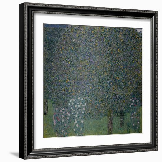 Roses under the Trees, c. 1905-Gustav Klimt-Framed Giclee Print