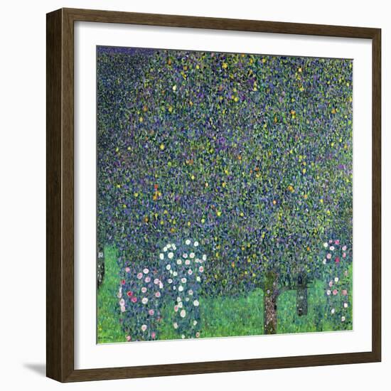 Roses Under the Trees, circa 1905-Gustav Klimt-Framed Giclee Print