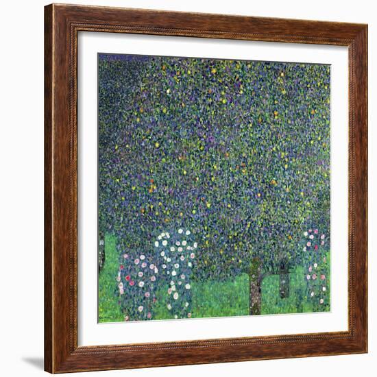 Roses Under the Trees, circa 1905-Gustav Klimt-Framed Giclee Print