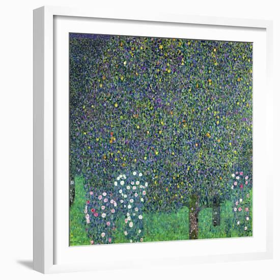 Roses Under the Trees, circa 1905-Gustav Klimt-Framed Giclee Print