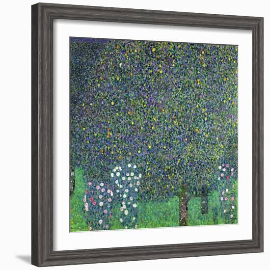 Roses Under the Trees, circa 1905-Gustav Klimt-Framed Giclee Print