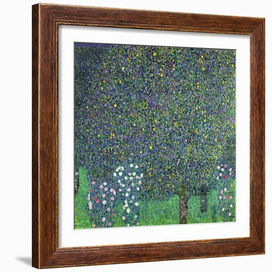 Roses Under the Trees, circa 1905-Gustav Klimt-Framed Giclee Print