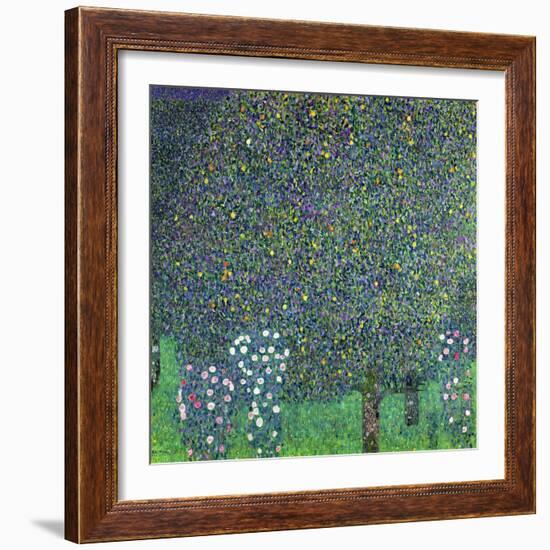 Roses Under the Trees, circa 1905-Gustav Klimt-Framed Giclee Print