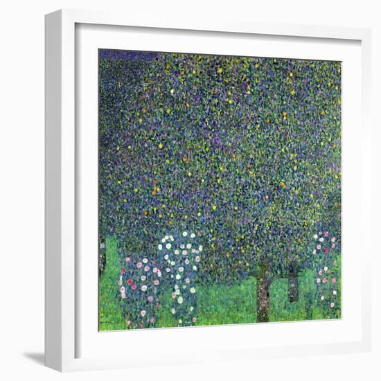 Roses Under the Trees, circa 1905-Gustav Klimt-Framed Giclee Print