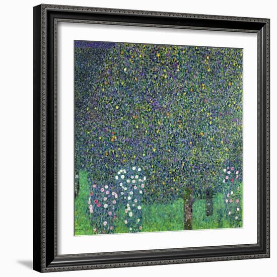 Roses Under the Trees, circa 1905-Gustav Klimt-Framed Giclee Print