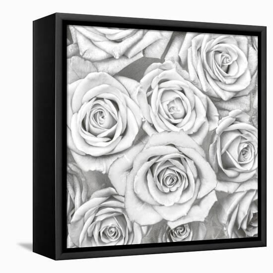 Roses - White on Silver-Kate Bennett-Framed Stretched Canvas