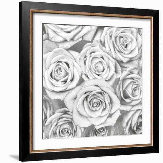 Roses - White on Silver-Kate Bennett-Framed Art Print