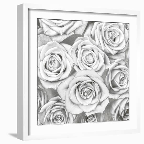 Roses - White on Silver-Kate Bennett-Framed Art Print