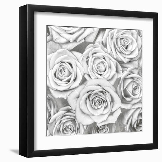 Roses - White on Silver-Kate Bennett-Framed Art Print