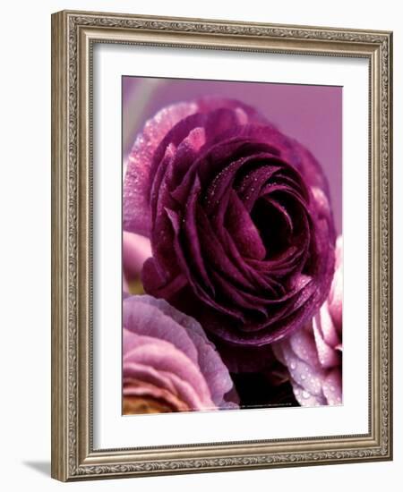 Roses-Kei Muto-Framed Art Print