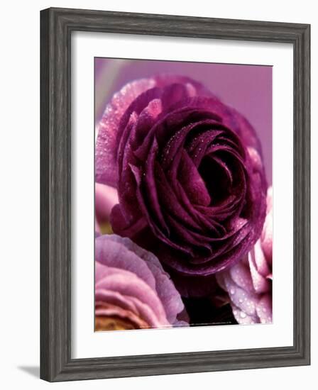 Roses-Kei Muto-Framed Art Print