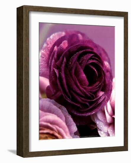 Roses-Kei Muto-Framed Art Print