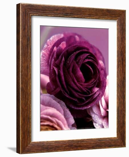 Roses-Kei Muto-Framed Art Print