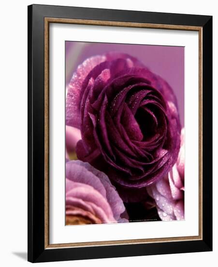 Roses-Kei Muto-Framed Art Print