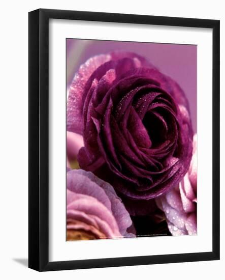 Roses-Kei Muto-Framed Art Print