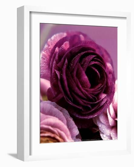 Roses-Kei Muto-Framed Art Print
