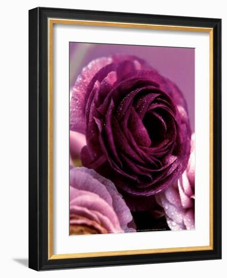 Roses-Kei Muto-Framed Art Print