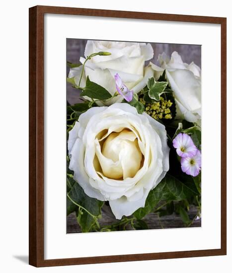 Roses-Catherine Beyler-Framed Art Print
