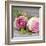 Roses-Catherine Beyler-Framed Art Print