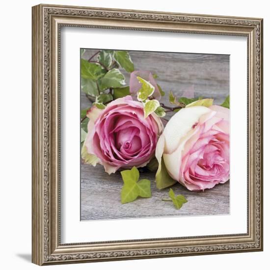 Roses-Catherine Beyler-Framed Art Print