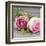 Roses-Catherine Beyler-Framed Art Print