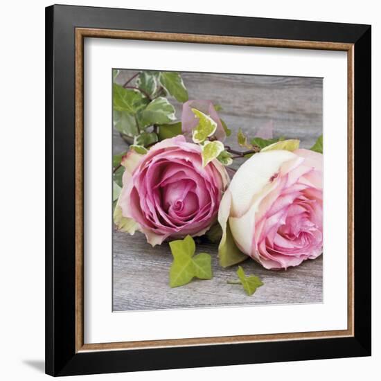 Roses-Catherine Beyler-Framed Art Print