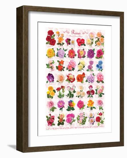 Roses-null-Framed Art Print