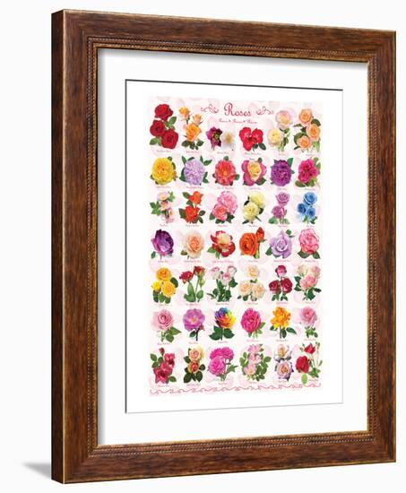 Roses-null-Framed Art Print