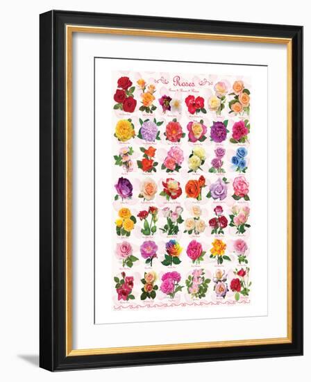 Roses-null-Framed Art Print