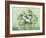 Roses-Vincent Van Gogh-Framed Giclee Print