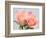 Roses-Jamie & Judy Wild-Framed Photographic Print