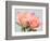 Roses-Jamie & Judy Wild-Framed Photographic Print