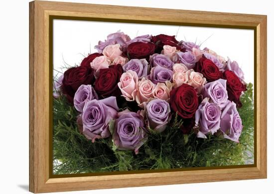 Roses-Fabio Petroni-Framed Premier Image Canvas