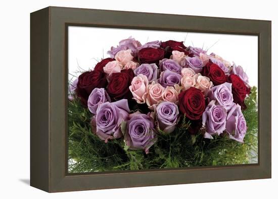 Roses-Fabio Petroni-Framed Premier Image Canvas