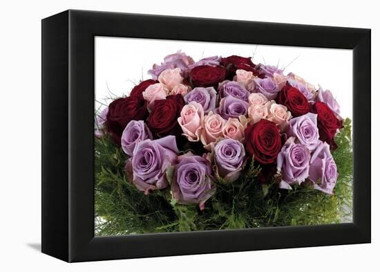 Roses-Fabio Petroni-Framed Premier Image Canvas