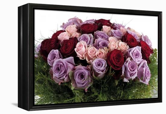 Roses-Fabio Petroni-Framed Premier Image Canvas