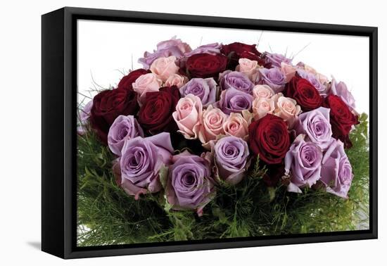 Roses-Fabio Petroni-Framed Premier Image Canvas