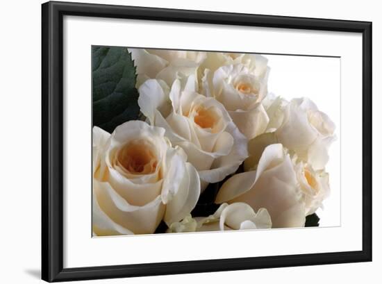 Roses-Fabio Petroni-Framed Photographic Print