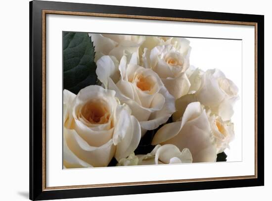 Roses-Fabio Petroni-Framed Photographic Print