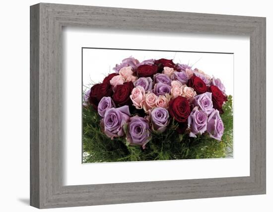 Roses-Fabio Petroni-Framed Photographic Print