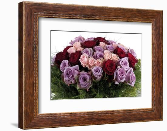 Roses-Fabio Petroni-Framed Photographic Print