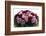 Roses-Fabio Petroni-Framed Photographic Print